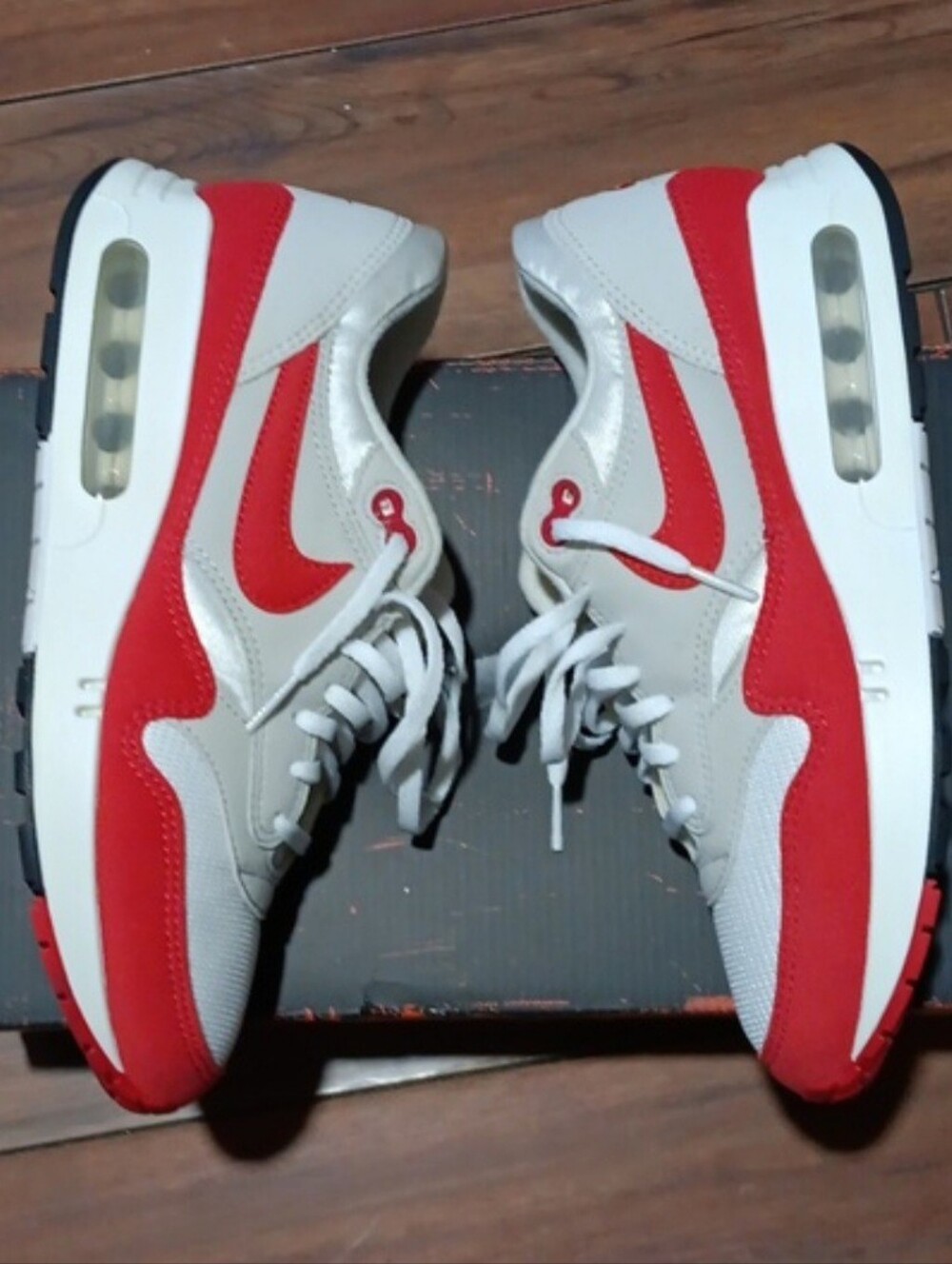 RED NIKE AIR MAX 1